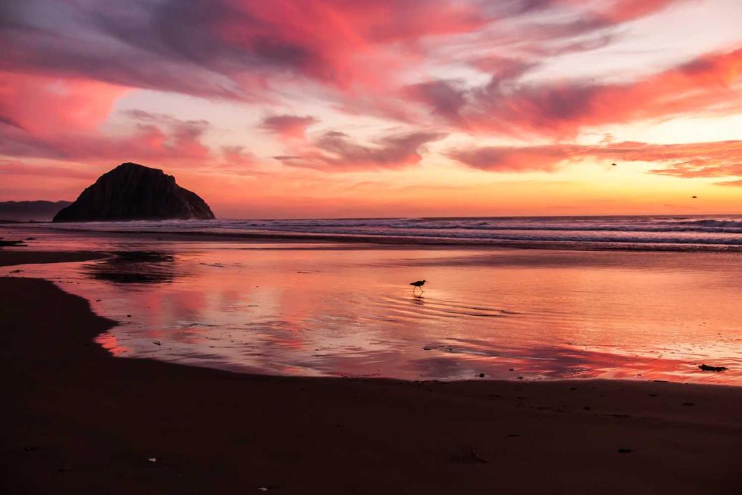 Excepturi veniam maiores autem