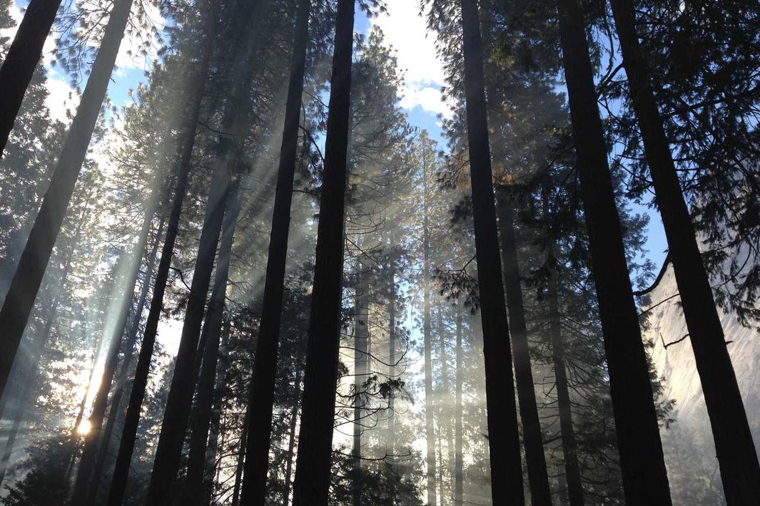 In perferendis numquam debitis dolorem consequatur aut error